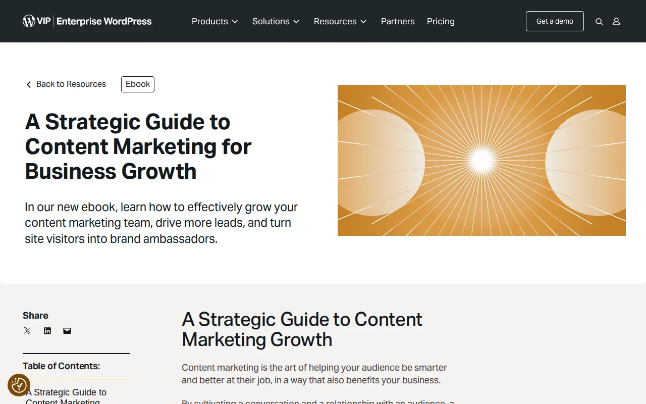 WordPress VIP content marketing strategy guide