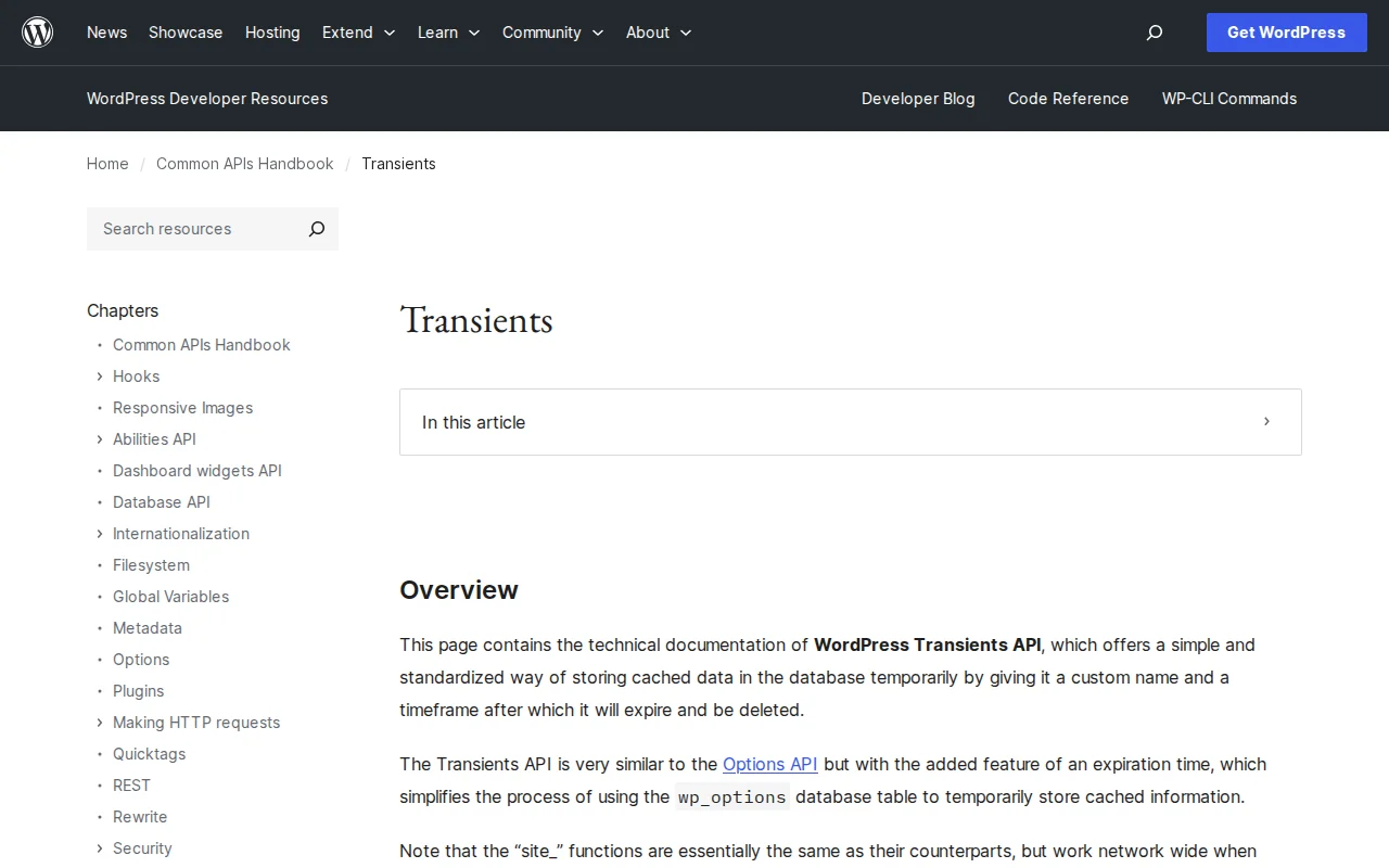 WordPress Transients API documentation on developer.wordpress.org