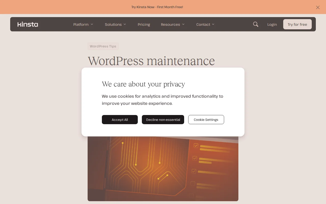 Kinsta WordPress maintenance checklist guide