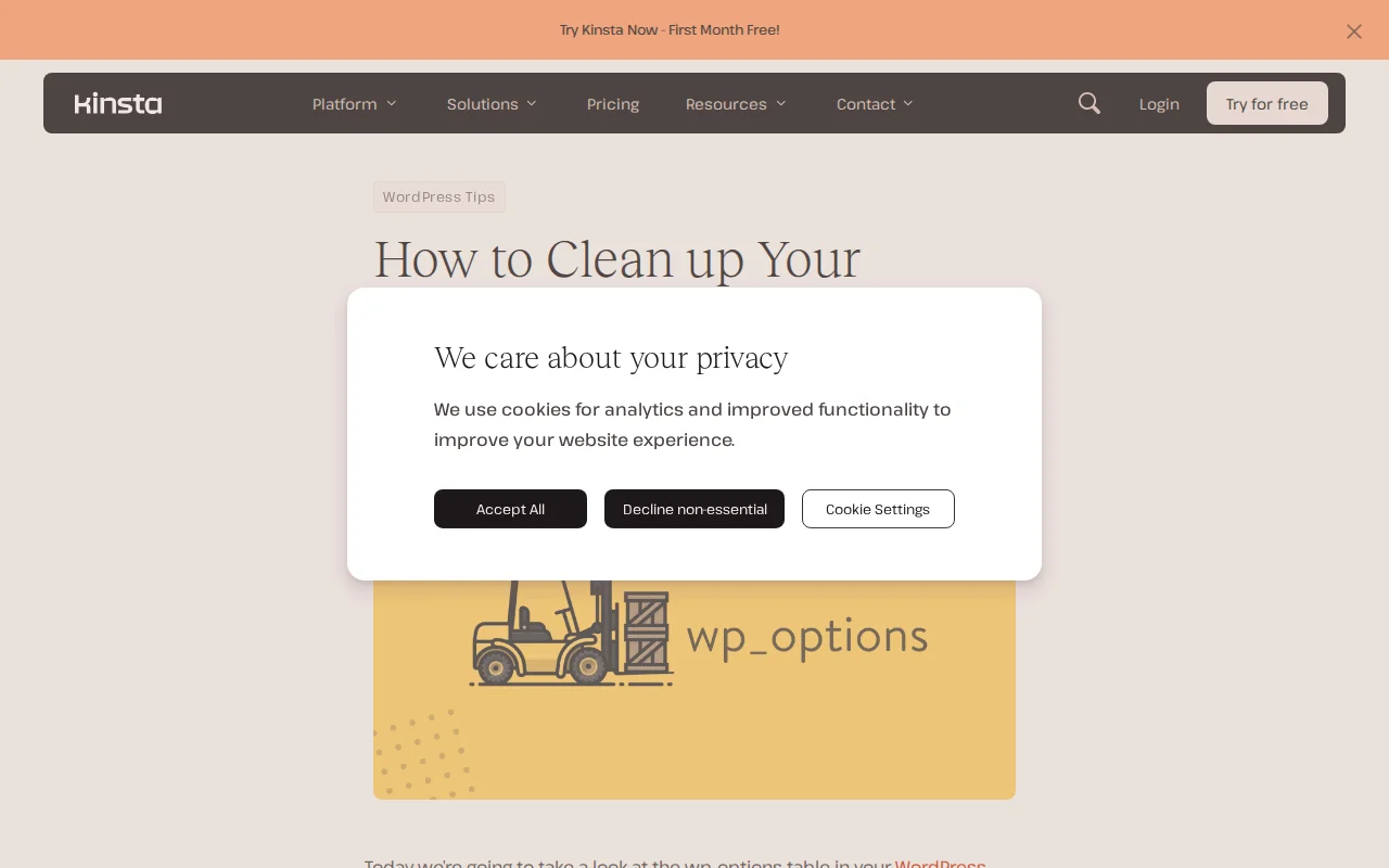 Kinsta guide on cleaning up the wp_options table and autoloaded data